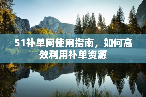 51补单网使用指南，如何高效利用补单资源