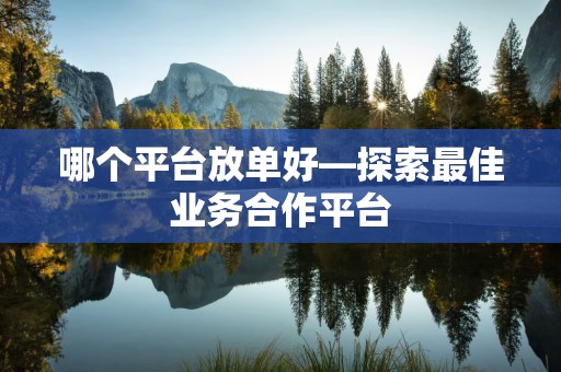 哪个平台放单好—探索最佳业务合作平台