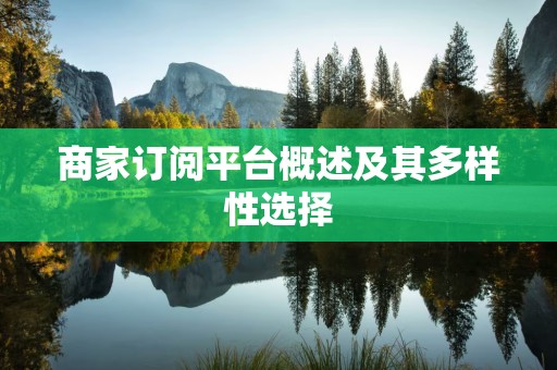 商家订阅平台概述及其多样性选择