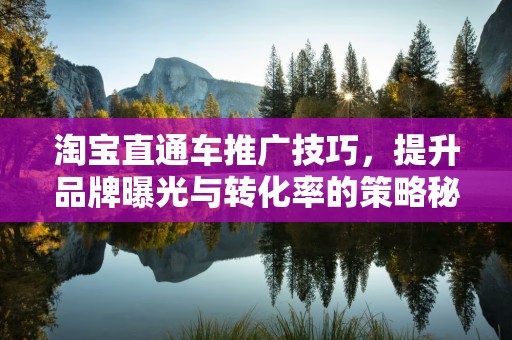 淘宝直通车推广技巧，提升品牌曝光与转化率的策略秘籍