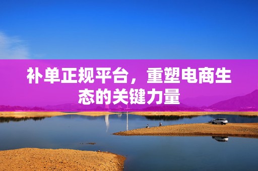 补单正规平台，重塑电商生态的关键力量