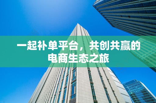 一起补单平台，共创共赢的电商生态之旅