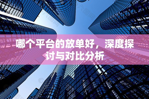 哪个平台的放单好，深度探讨与对比分析