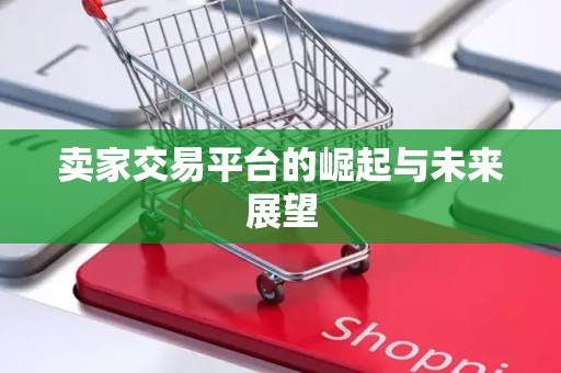 卖家交易平台的崛起与未来展望