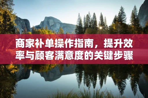 商家补单操作指南，提升效率与顾客满意度的关键步骤
