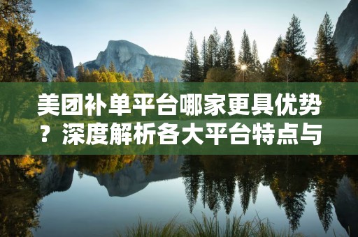 美团补单平台哪家更具优势？深度解析各大平台特点与优势