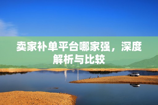 卖家补单平台哪家强，深度解析与比较