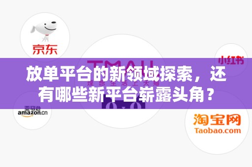 放单平台的新领域探索，还有哪些新平台崭露头角？