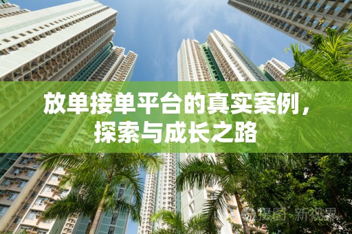 放单接单平台的真实案例，探索与成长之路