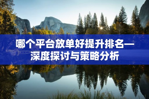 哪个平台放单好提升排名—深度探讨与策略分析