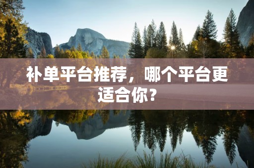 补单平台推荐，哪个平台更适合你？