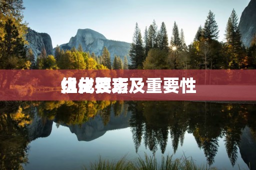 优化技巧
组成要素及重要性
