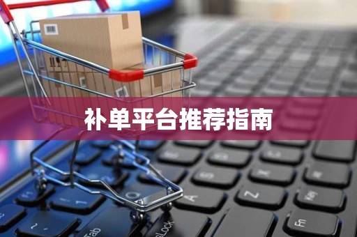 补单平台推荐指南