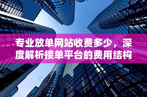 专业放单网站收费多少，深度解析接单平台的费用结构与服务质量