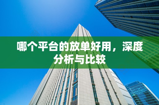 哪个平台的放单好用，深度分析与比较