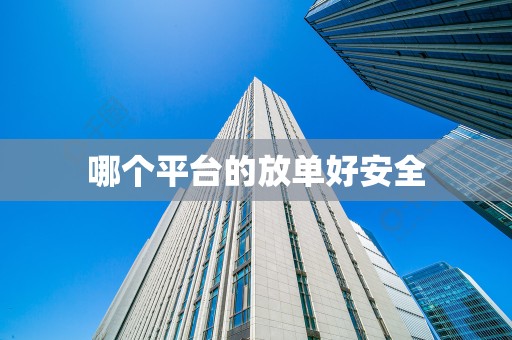 哪个平台的放单好安全