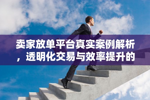 卖家放单平台真实案例解析，透明化交易与效率提升的关键环节