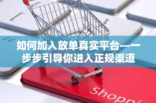 如何加入放单真实平台—一步步引导你进入正规渠道