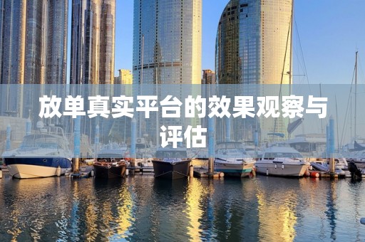 放单真实平台的效果观察与评估