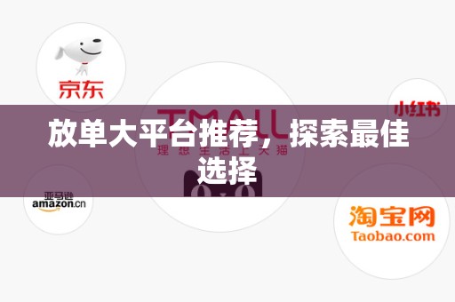 放单大平台推荐，探索最佳选择