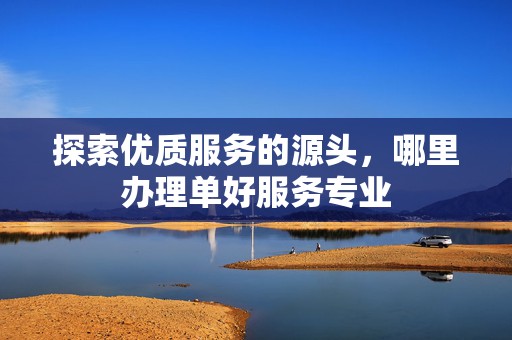 探索优质服务的源头，哪里办理单好服务专业