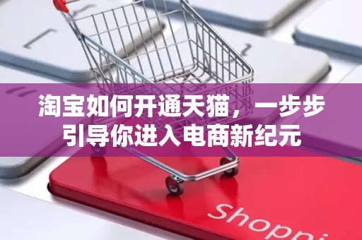 淘宝如何开通天猫，一步步引导你进入电商新纪元