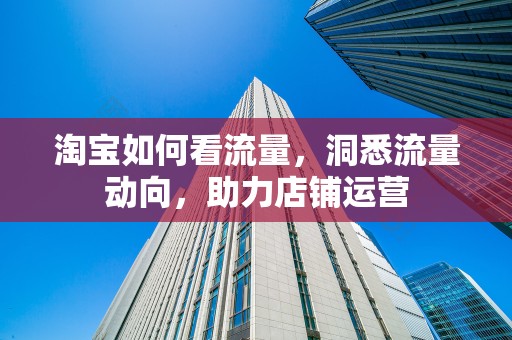 淘宝如何看流量，洞悉流量动向，助力店铺运营