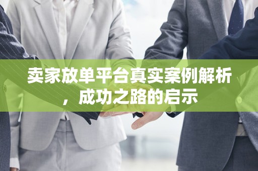 卖家放单平台真实案例解析，成功之路的启示