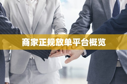商家正规放单平台概览