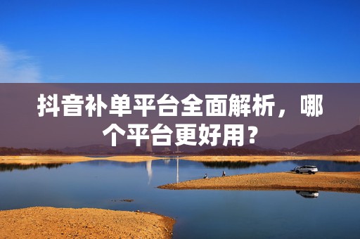 抖音补单平台全面解析，哪个平台更好用？