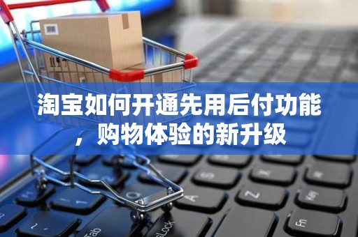 淘宝如何开通先用后付功能，购物体验的新升级