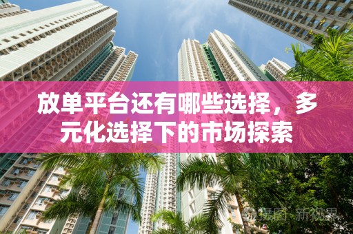 放单平台还有哪些选择，多元化选择下的市场探索