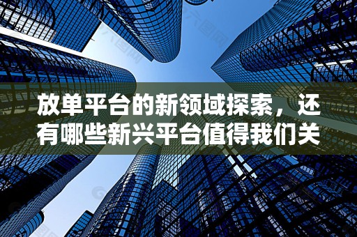 放单平台的新领域探索，还有哪些新兴平台值得我们关注