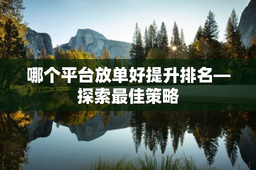 哪个平台放单好提升排名—探索最佳策略