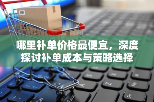 哪里补单价格最便宜，深度探讨补单成本与策略选择