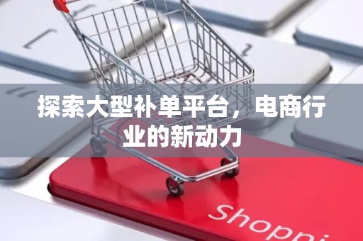 探索大型补单平台，电商行业的新动力