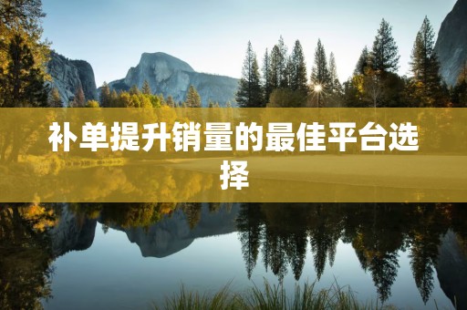 补单提升销量的最佳平台选择