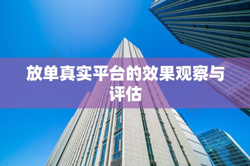 放单真实平台的效果观察与评估