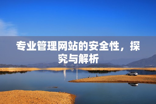 专业管理网站的安全性，探究与解析