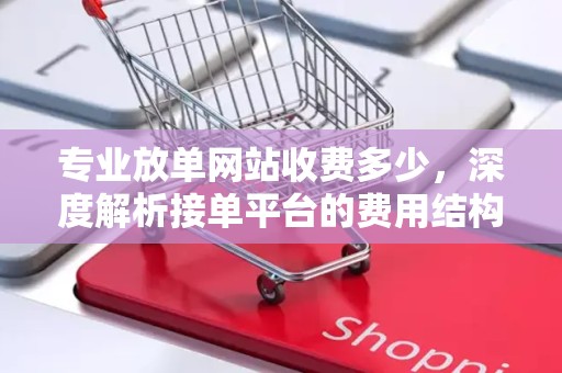 专业放单网站收费多少，深度解析接单平台的费用结构