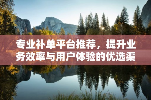 专业补单平台推荐，提升业务效率与用户体验的优选渠道