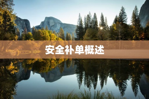 安全补单概述