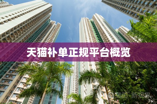天猫补单正规平台概览