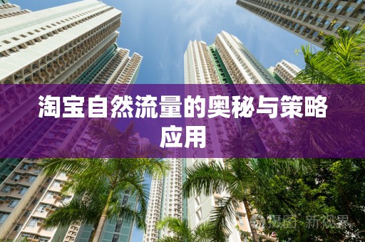 淘宝自然流量的奥秘与策略应用