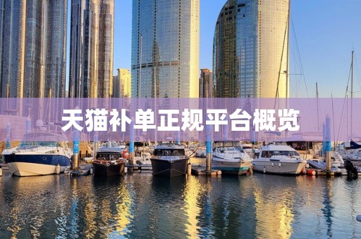 天猫补单正规平台概览
