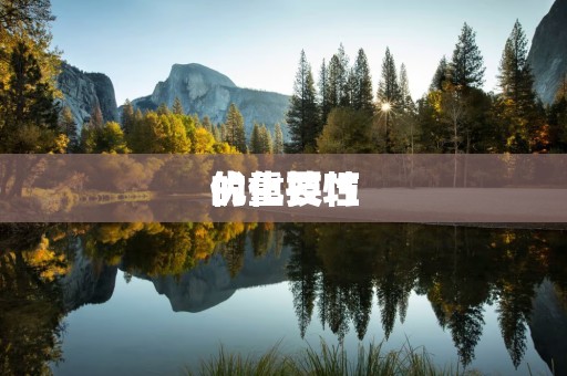 优化技巧
的重要性