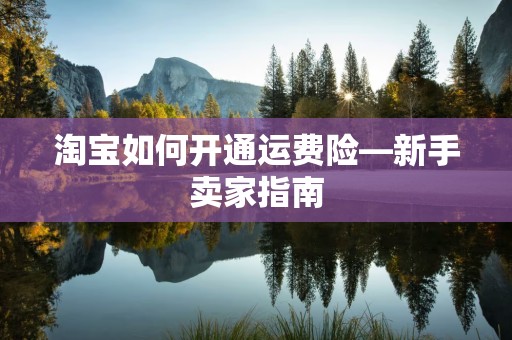 淘宝如何开通运费险—新手卖家指南