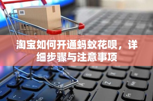 淘宝如何开通蚂蚁花呗，详细步骤与注意事项