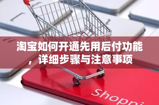 淘宝如何开通先用后付功能，详细步骤与注意事项
