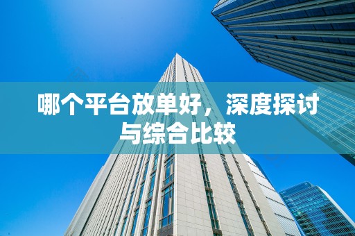哪个平台放单好，深度探讨与综合比较